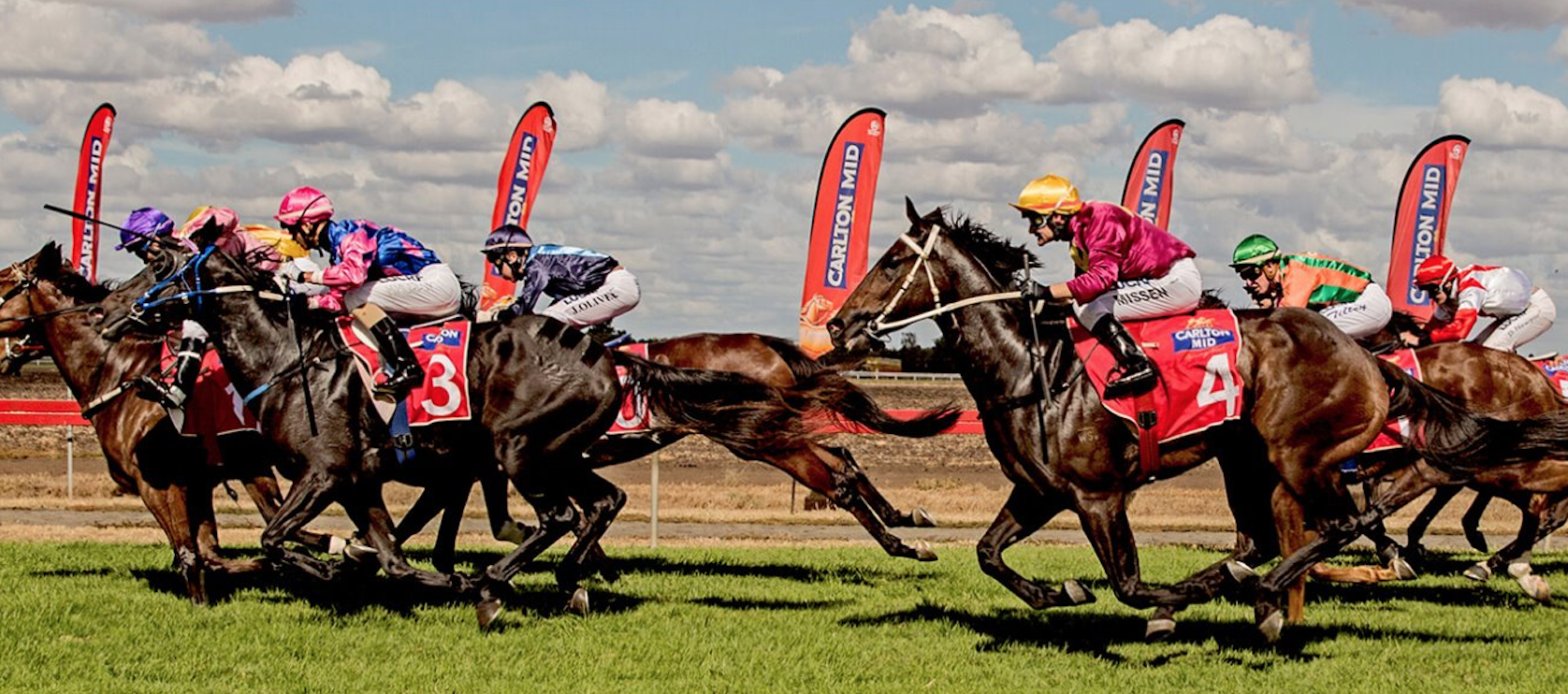 Things to do in Dalby, Dalby races
